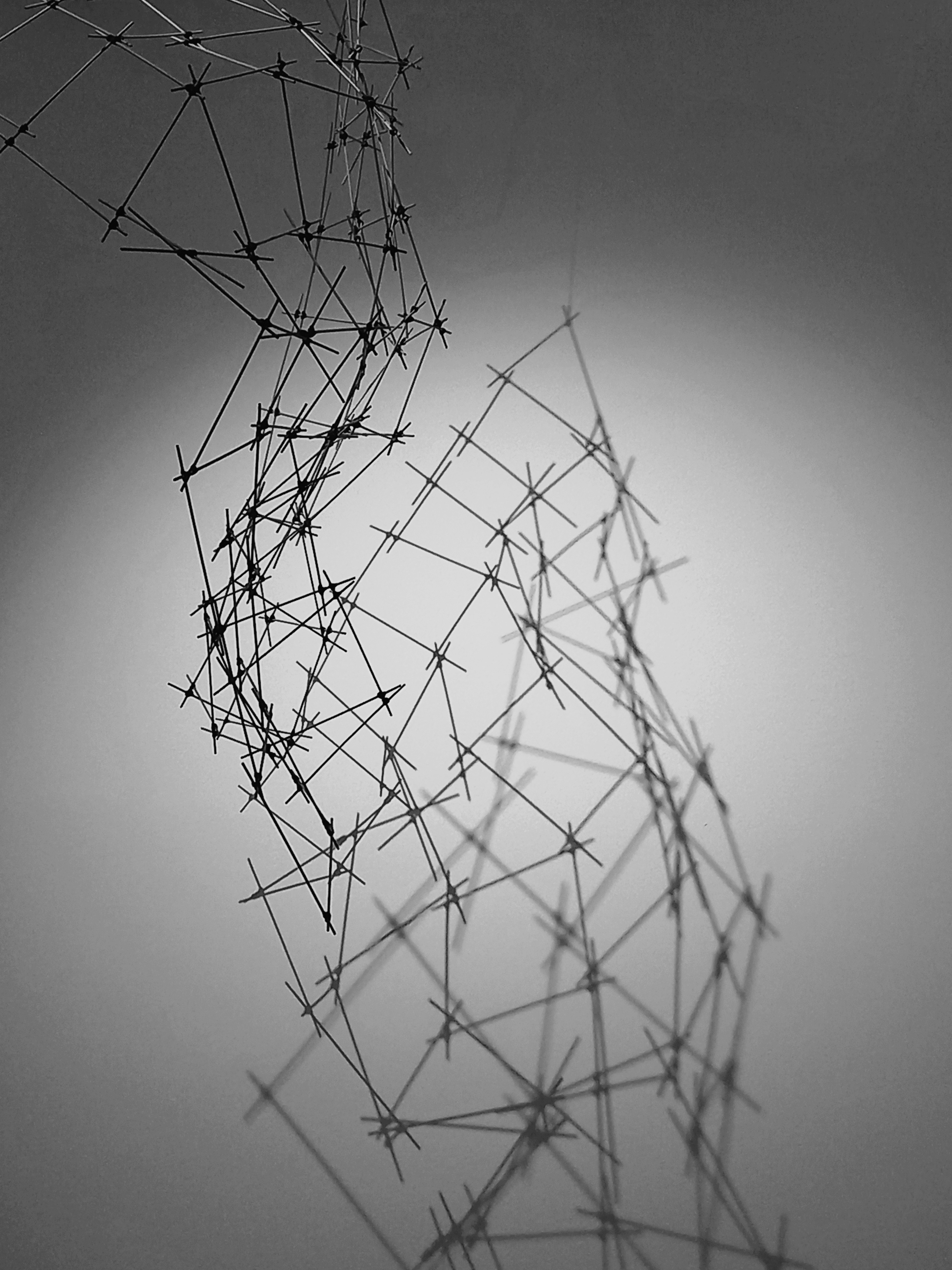Photography 15