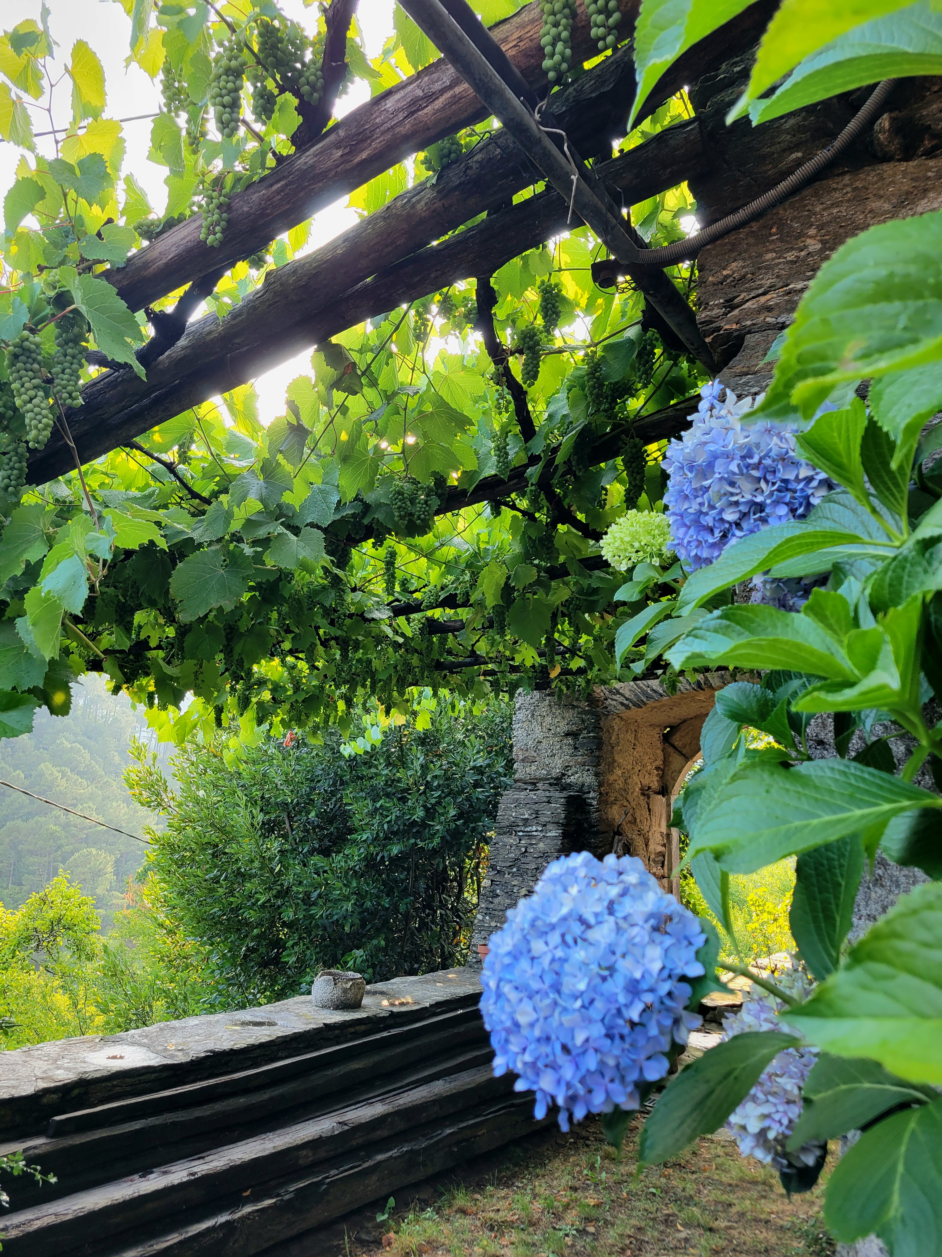 Photography 20