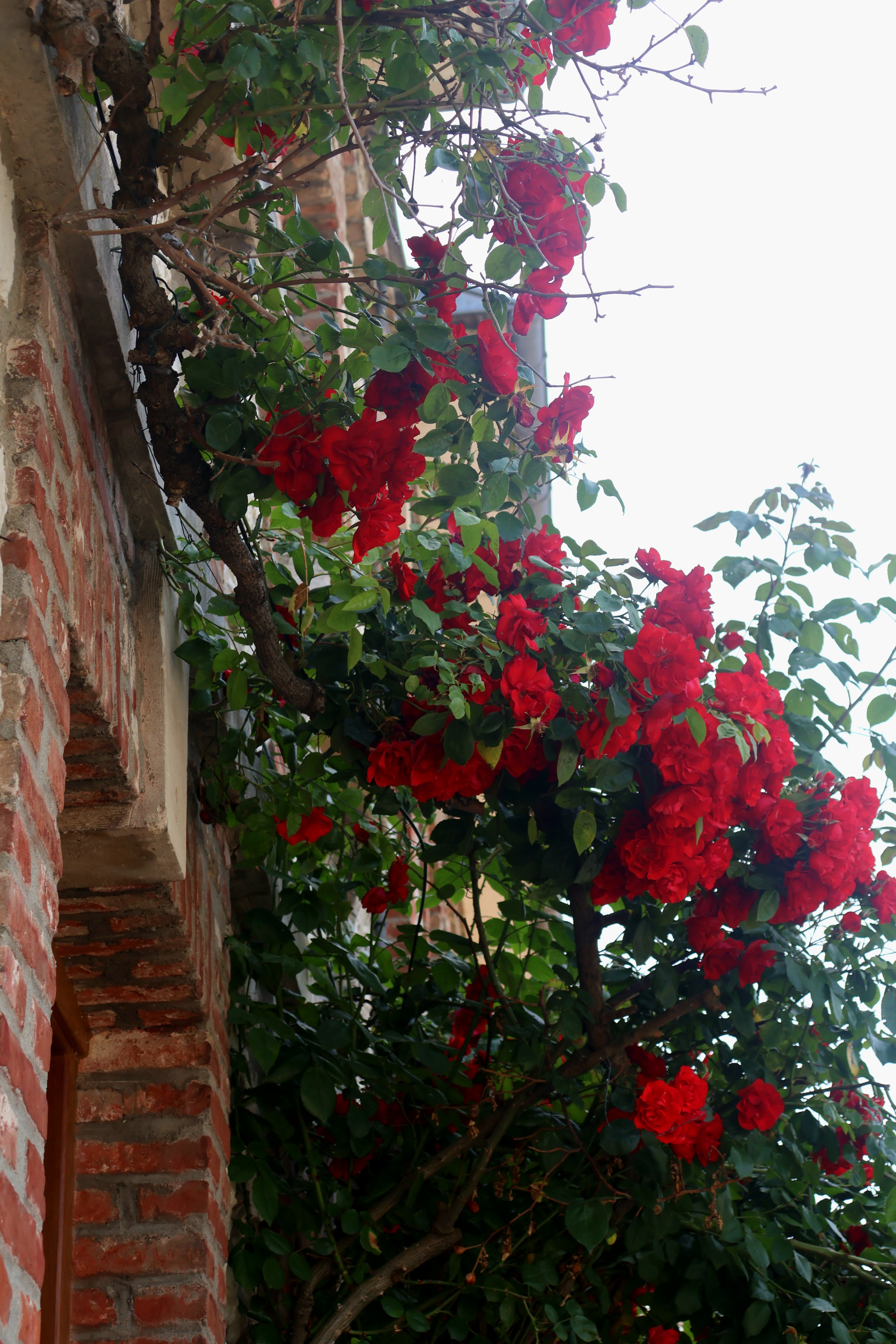 Photography 29